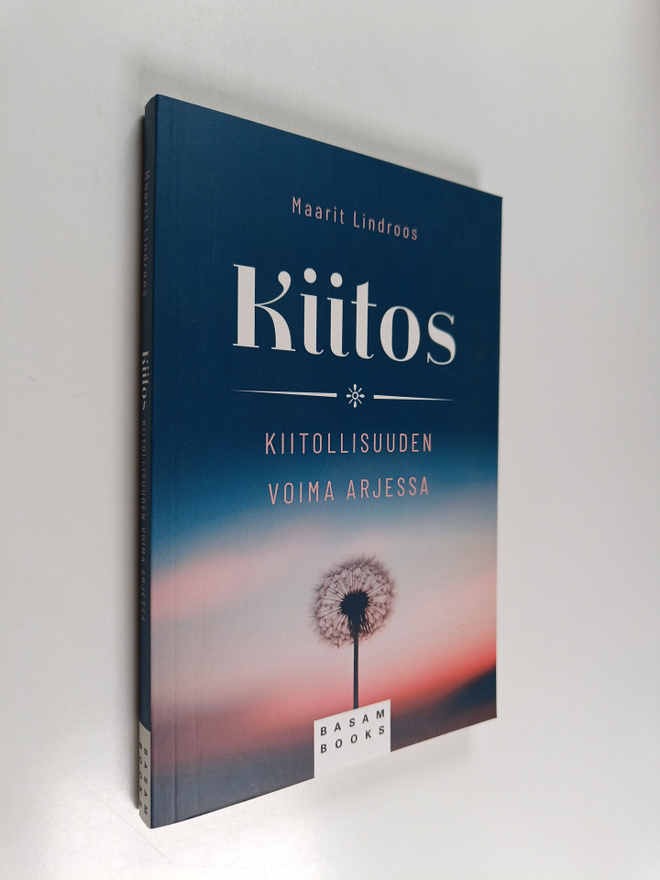 Maarit Lindroos : Kiitos : kiitollisuuden voima arjessa