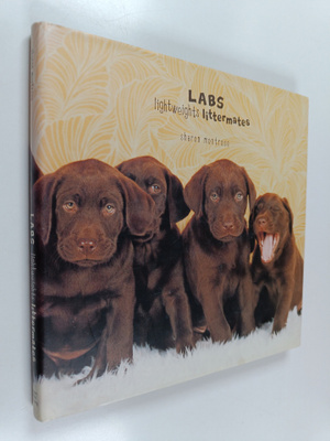 Sharon Montrose : Labs : Lightweights Littermates