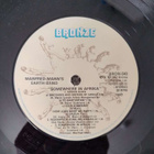 Manfred Mann's Earth Band - pikkukuva 2