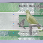 Gambia 10 Dalasis v.2023 UNC P-38c - pikkukuva 1