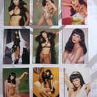 Julie Strain Keräilykortit - pikkukuva 1