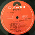 [LP] ROXY MUSIC: COUNTRY LIFE - pikkukuva 4