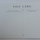 linnut, eläink, Englantilainen Post card, uusi kortti - pikkukuva 2