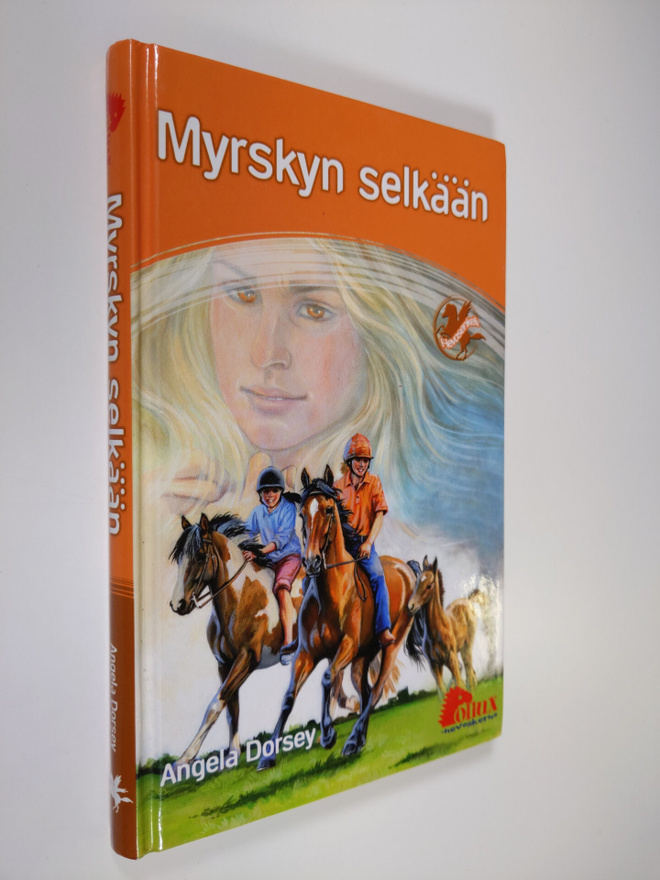 Angela Dorsey : Myrskyn selkään