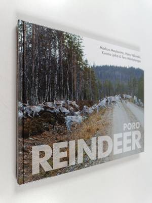 Reindeer