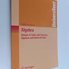Falko Lorenz : Algebra, Volume 2 : Fields with Structure,... - pikkukuva 1
