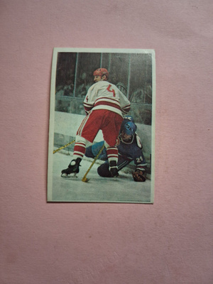 Panda. Jääkiekkokoulu. 63.