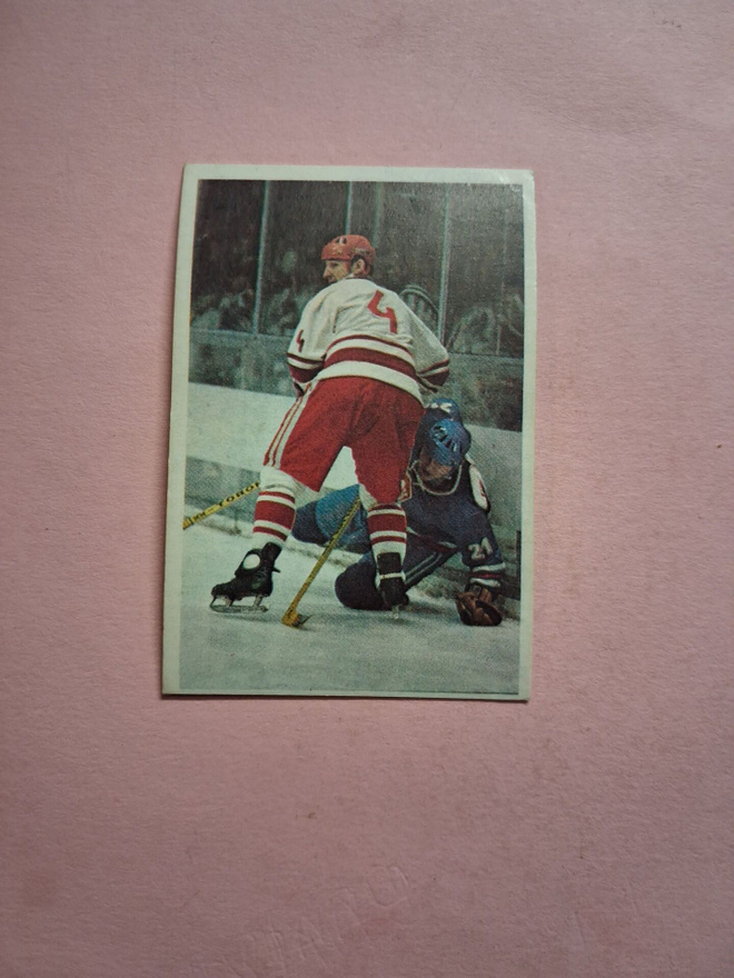 Panda. Jääkiekkokoulu. 63.