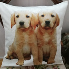 Labradorinnoutajan pennut tyynynpäällinen - pikkukuva 1