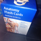 ANATOMY FLASH CARDS BOX SET ( SIS POSTIKULU  ) - pikkukuva 3