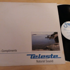 VEIKKO HUUSKONEN & KEIJO LOUNA - LP Teleste mainoslevy VG++ - pikkukuva 1