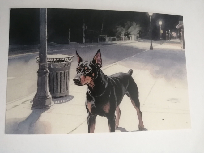 Dobermanni