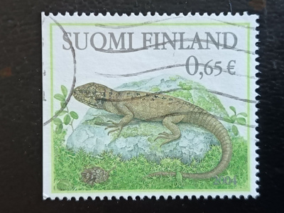 -04 Metsän Eläimiä