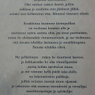 Teppo Järvi: Allinna- Allin linna 1919 Riihimäki - pikkukuva 2