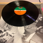 CROSBY,STILLS NASH & YOUNG: American Dream * EUR 1988 - pikkukuva 3
