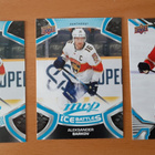 Aleksander Barkov - pikkukuva 1