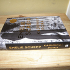 Emelie Schepp Kadonnut poika (sidottu) - pikkukuva 1