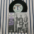 Pera & The Dogs – I've Been Breakin' The Law 7" ps 1079 mint - pikkukuva 2