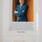 Wayne Gretzky : 99 : tarinoita jääkiekosta - pikkukuva 2
