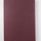 V. Yanushkov : The Businessman's Russian-English Dictionary - pikkukuva 2