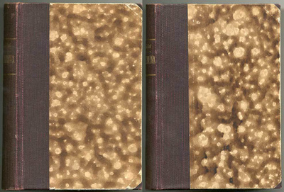 Leo Tolstoi: Anna Karénina 1-2 (1.p., 1910-11)