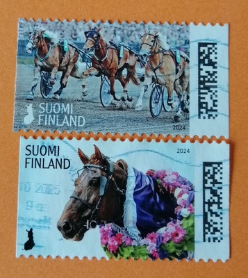 SUOMI 2024 Kuninkuusravit 100 vuotta