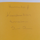 Sari Siven : Syötävän koristeellista : kasviksista veitse... - pikkukuva 3