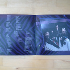 THE DONNAS - BITCHIN'  2xlp - pikkukuva 3