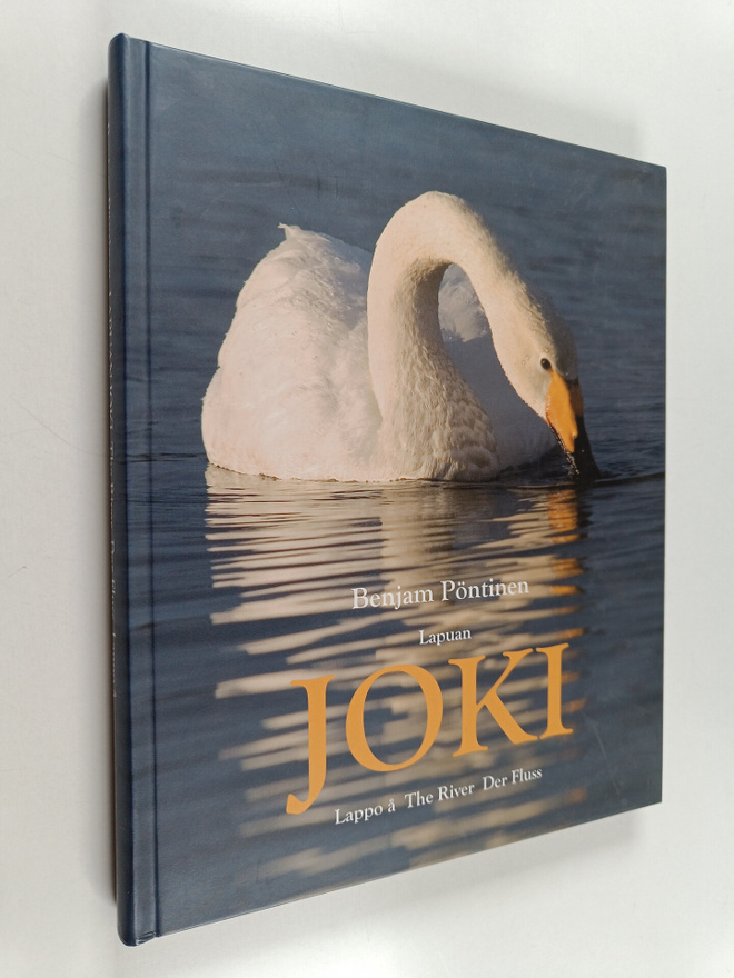 Benjam Pöntinen : Lapuan joki = Lappo å = The River = Der...