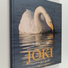Benjam Pöntinen : Lapuan joki = Lappo å = The River = Der... - pikkukuva 1