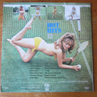 Hot Hits 12 (upealla cheesecake-kannella, UK 1972) - pikkukuva 4