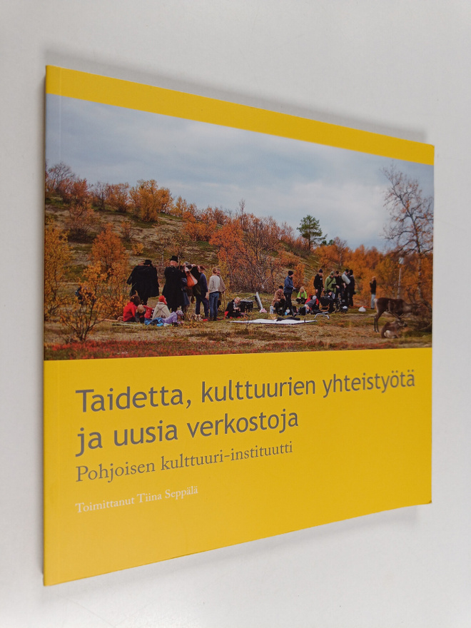 Taidetta, kulttuurien yhteistyötä ja uusia verkostoja : P...