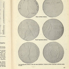 Numismaatikko n:o 5 1988 Rodoksen rahat 2. osa - pikkukuva 5