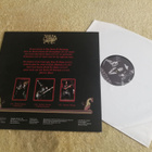DECAYED - The Book Of Darkness LP - pikkukuva 2