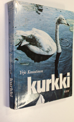 Yrjö Knuutinen : Kurkki