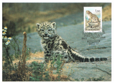1989  Maksimikortti nro 10 - Lumileopardi
