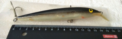 Rapala Magnum floated