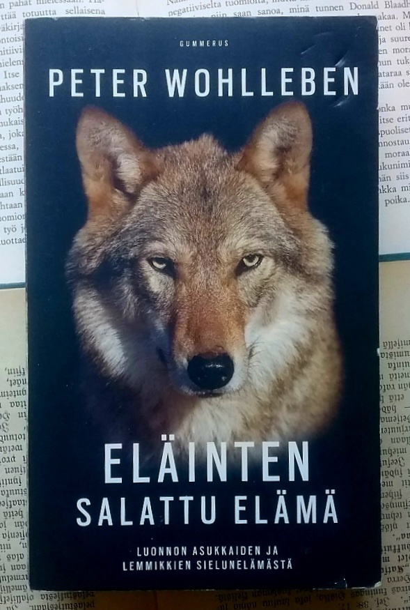 Peter Wohlleben - Eläinten salattu elämä (pokkari)