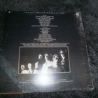 City Boy: The Day The Earth Caught Fire Lp - pikkukuva 2