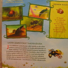 RUOHONJUURITASOLLA 7 DVD TOINEN KAUSI - pikkukuva 2