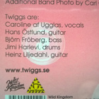 Twiggs - Twiggs CD - pikkukuva 4