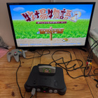 Harvest Moon 64 – Nintendo 64 JAP – testattu - pikkukuva 3