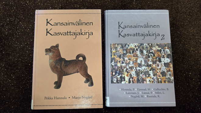 Kansainvälinen kasvattajakirja 1 & 2 Pekka Hannula