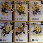 2014-15 Cardset Series 1 SaiPa Team Set 12 korttia (109-120) - pikkukuva 2