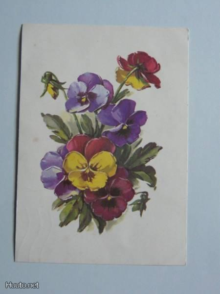 Orvokit (piirretty kortti) #533