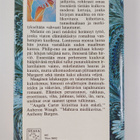 Angela Carter : Maaginen lelukauppa - pikkukuva 2