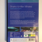 Sharks & Killer Whales - Killer Instinct (DVD) Dokumentti - pikkukuva 2