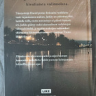 Antti Reini: Kaunis mahdottommuus - pikkukuva 2