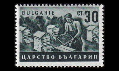 Bulgaria 417 ** Maatalous 30 St vihreä (1940)