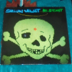 SIELUN VELJET ~ Hei Soturit ~ LP - pikkukuva 1